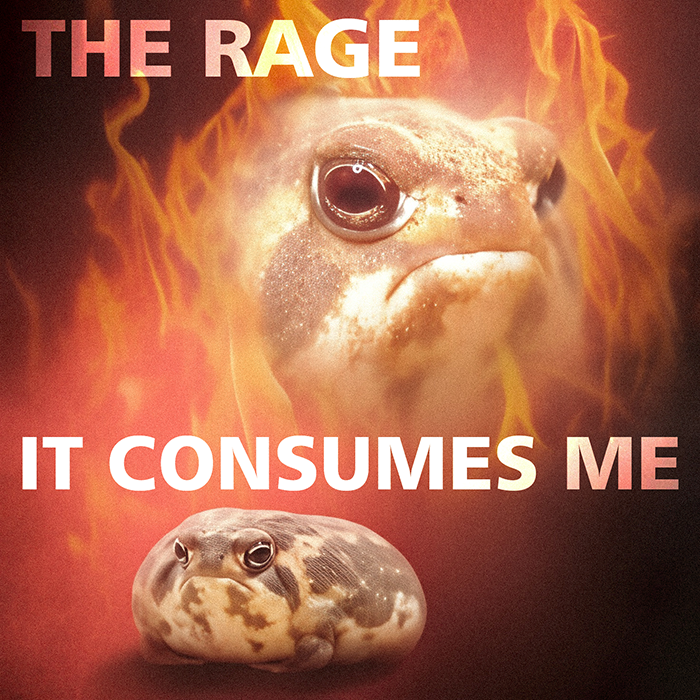 Frog Temperament: Patience and Observation