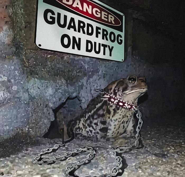 Invisible Sentinels: Frogs as Human Protectors