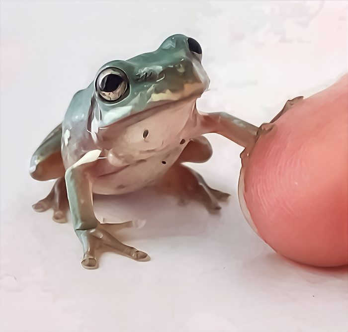 The Affectionate Side: Love on a Different Frequency